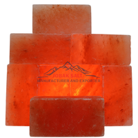 Vente en gros de briques de sel de l'Himalaya pour les sols, les salles de spa, les murs et les centres de bien-être