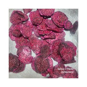 Exportation de qualité Tranches de fruits du dragon séchés Snack de fruits savoureux et nutritifs - Product Image 1