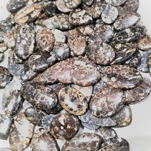 Piedra preciosa de ágata Turritella de la mejor calidad, cabujón de ágata Turritella Natural hecho a mano, uso de ágata Turritella pulida para joyería - Product Image 4