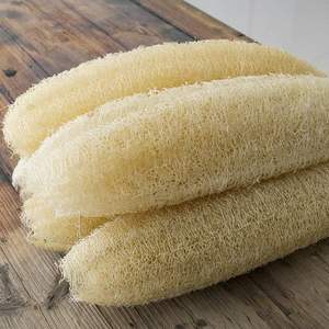 100% Organic Loofah Whole Sustainable, Natural <b>Exfoliation</b>, High Quality From VIET FARGIMEX - Product Image 4