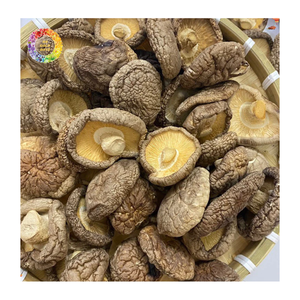 Hongos Shiitake Secos Premium, Hongos Chinos Naturales para Ingredientes Alimenticios, Compradores Mayoristas - Product Image 6
