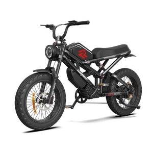 Rennwen Electric Hybrid <b>Bike</b> 20 Inch Aluminum <b>Frame</b> 1000W Rear Motor 48V Integrated Battery Lithium Digital Display Disc Brake - Product Image 1