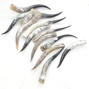 Cuerno para beber tallado natural hecho a mano personalizado ecológico estilo vikingo búfalo Animal jarra para cerveza por f s i - Product Image 6