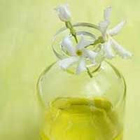 Ambientador prensado en frío de aceite esencial de jazmín Natural de la mejor calidad del fabricante indio, nueva fragancia - Product Image 4