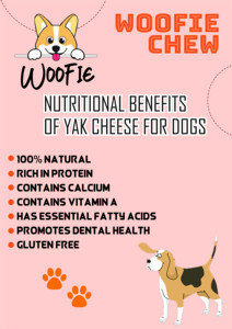 Friandises à mâcher pour chiens en fromage de yak de l'Himalaya, naturelles, saines, biologiques, séchées, saveur menthe. Disponible en marque blanche et en emballage en vrac. - Product Image 5