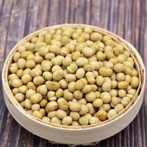 OEM/ODM Crunchy Dried <b>Soybeans</b>-Premium Edamame Snack Wholesale Bulk Custom Label Great for Healthy Snacking - Product Image 1