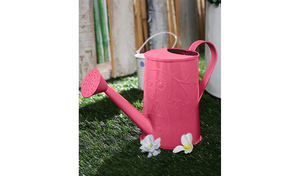 Canne d'arrosage en métal de pot d'arrosage sphérique portatif avec la conception simple et la longue buse et la poignée ronde pour le jardin extérieur - Product Image 3