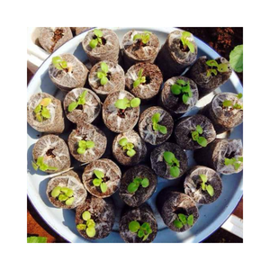 Noyau pur de noix de coco jiffy pour jardin de graines plantées fabriqué en vietnamien - Product Image 6