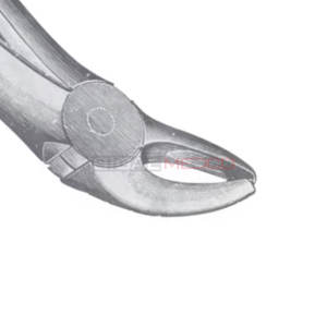 Fig. 10 Fórceps de extracción de dientes de diferentes tamaños Instrumentos médicos dentales Precio al por mayor Proveedor a granel - Product Image 6