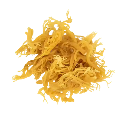 Natural Dried Sphagnum Moss - Fresh from the Forest