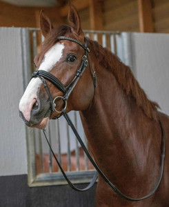 Snaffle Bridleทุกวันแบบพกพาหรูหราพรีเมี่ยมคลาสสิกดูแฟชั่นสมาร์ทข้อเหวี่ยงจมูกเชือกแขวนคอComboกับReinsกีฬา - Product Image 3