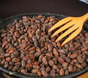 Hữu cơ forastero rang Cacao <span class=keywords><strong>nibs</strong></span> 50kg Lớp 1 khô hạt ca cao nhanh chóng vận chuyển - Product Image 3