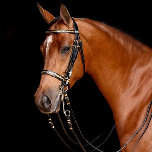100% cuir cheval bride personnalisé Western anglais Styles cuir véritable cheval équitation bride fournisseur en gros tendance 2025 - Product Image 1