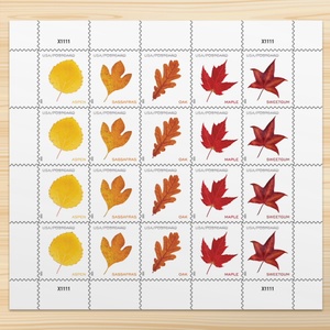 Vintage Floral Usa usado franqueo correo <span class=keywords><strong>sello</strong></span> pegatinas Postal para siempre sellos postales recompensa pegatina regalo recuerdo coleccionar - Product Image 2