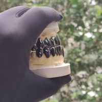 Grilles dentaires complètes de style gothique personnalisées, noir et argent, motif crocs de vampire, finition chrome poli, pour dents supérieures et inférieures, bijoux dentaires fins