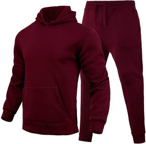 Vente en gros Dernier survêtement personnalisé 2 pièces vêtements de sport d'entraînement pour femmes Gym Jogging costume pull à capuche et ensemble de jogging - Product Image 2