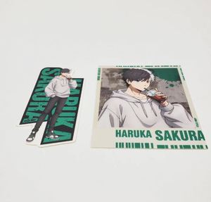 Paquete Mediano de Pegatinas de Pared de Anime SAKURA HARUKA, Personalizadas, Oficiales, con Licencia, Lindas, Grandes, Removibles, Brillantes - Product Image 5