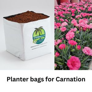 Sri Lankan Manufactured Planter <b>Bags</b> for Flower Growers Carnation Ultimately Made for Fast Growth of Floriculture - Product Image 2