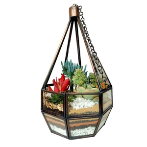 Maceta geométrica colgante, Terrario de vidrio transparente y Marco de Metal negro, planta de aire suculenta, decoración de alféizar de jardín de hadas en miniatura - Product Image 1