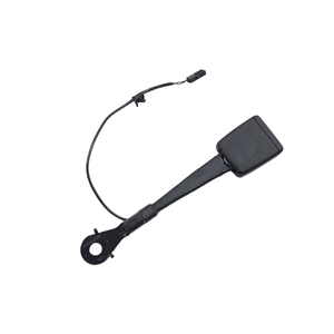 Gancho del Cinturón de Seguridad Delantero Izquierdo AUDI A3 Sportback (8YA) 8Y0857755A (19>) - Product Image 1