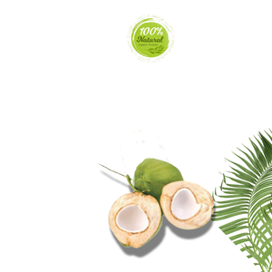 Cadeau de noix de coco vietnamienne fraîche de produit agricole de la nature - Product Image 6