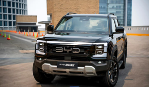 Camioneta Eléctrica Híbrida 2024, 4 Puertas, 5 Plazas, Tracción 4x4, Euro 6, Vehículo de Carga de Nueva Energía en Venta - Product Image 4