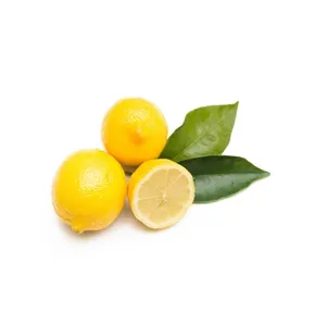 Wholesale Fresh Citrus Fruit Premium 100% Maturity Green Sour Taste Fresh Seedless Lemon Lime For Beverages Juice Drinks