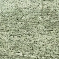 Dalles et carreaux de granit vert indien-pour les sols des cours extérieures cuisines escaliers Tropical Hassan Ocean Surf meilleures variétés