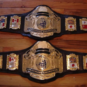 Ceintures de championnat d'aïkido personnalisées de haute qualité en cuir exclusif entièrement personnalisé livraison rapide caractéristique confortable - Product Image 1