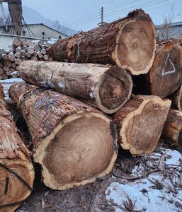 Grumes de bois de peuplier de grande taille personnalisées de haute qualité - Product Image 2