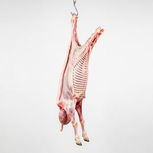 Carcasse d'agneau pleine congelée de qualité supérieure Fourniture en gros de viande de haute qualité prête pour l'exportation Expédition rapide et prix compétitif disponibles - Product Image 3