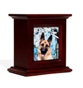 Urnes souvenir avec des empreintes de pattes en laiton de haute qualité urnes souvenir urnes pour chat et chien cendres urnes commémoratives pour animaux de compagnie - Product Image 4