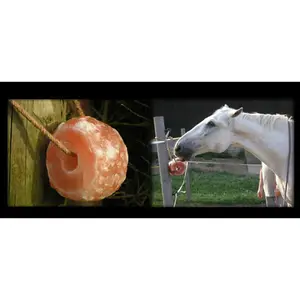 The Original Salt Company All Natural Himalayan Salt Rock Horse Cattle Equine Large Animal Farm Lick on Fence Hanging Rope