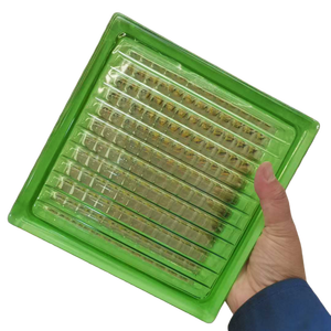 <span class=keywords><strong>Bloques</strong></span> <span class=keywords><strong>de</strong></span> Vidrio Cristalinos, Ladrillos <span class=keywords><strong>de</strong></span> Vidrio para Pisos y Escaleras, Soluciones Planas y Estables con Certificación CE y Grabado - Product Image 6