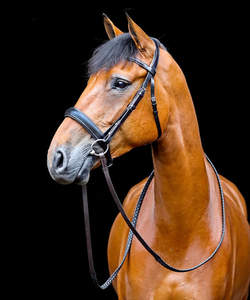 BRIDE ÉLEVÉE - Product Image 3