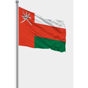 Custom World <b>Flag</b> 3x5ft with Digital Printing Aluminum <b>Pole</b> & Silk Material-<b>for</b> Automotive Insurance Education & Travel Agency - Product Image 1