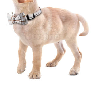 Collar para Mascotas, Ligero, con Hebilla Resistente, Tela Duradera, para Paseos Diarios, Entrenamiento y Actividades al Aire Libre - Product Image 5