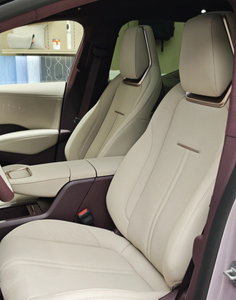 Zeekr X 2025 2024, Crossover électrique, Voitures électriques, Voitures d'occasion, Véhicule électrique - Product Image 6