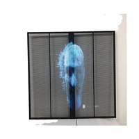 RMGLED Écran LED maillé transparent mural à haute transparence Affichage LED transparent durable et stable pour l'intérieur