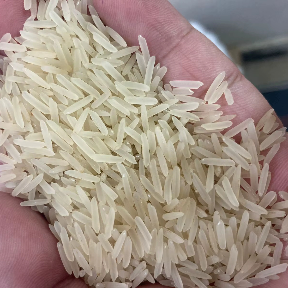 Качественный рис Sella Basmati оптом/коричневый длиннозерный 5% ломаный белый рис, длиннозерный пропаренный рис, жасминовый рис