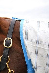 Couverture anti-mouches en maille premium pour cheval - Drap respirant d'été pour cheval avec cache-cou - Product Image 3