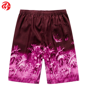 Short d'été de style de rue pour l'extérieur Short de jogging pour hommes Nouvelle arrivée Jogger Jogging Shorts - Product Image 6
