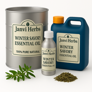 100% Pure Winter Savory Essential Oil Aceite de hierbas naturales para aromaterapia culinaria Proveedor al por mayor - Product Image 1