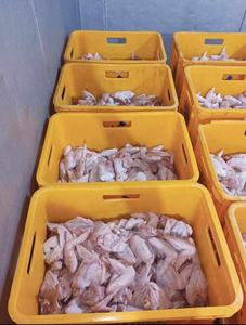 ปีกไก่แช่แข็งฮาลาล IQF ไขมันต่ำ บรรจุภัณฑ์แบบขายส่ง - Product Image 4