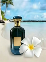 Coffret cadeau de parfum Eau de Parfum Amber Arabe de luxe en gros, 100 ml