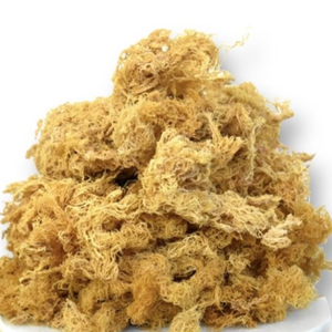มอสไอริช Eucheuma cottonii แห้งสำหรับใช้เป็นอาหารและเครื่องดื่ม - Product Image 5