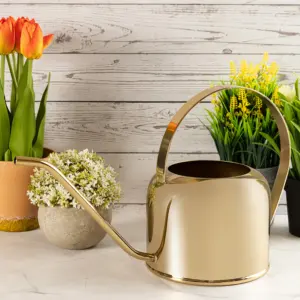 Arrosoir en laiton multifonctionnel 1,8 L Écologique pour les plantes et les fleurs d'intérieur et d'extérieur - Product Image 1
