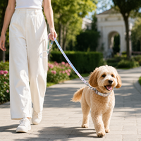 Ensemble collier et laisse pour chien, réglable, iridescent, laisse de promenade pour animaux de compagnie avec boucle en métal pour chiens de petite et moyenne taille