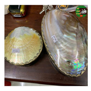 Cuillère et assiette en nacre de qualité supérieure, plat artisanal pour les amateurs de gastronomie, ensemble cuillère et assiette en nacre artisanale - Product Image 5