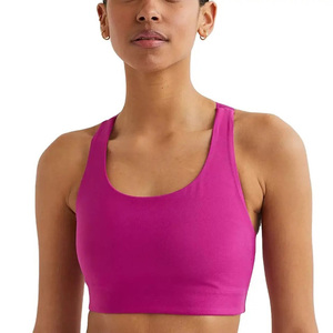 Vêtements de yoga de fitness pour femmes fabrication à quantité minimale de commande basse grande taille disponible soutien-gorge de sport sans couture à soutien élevé personnalisable - Product Image 1